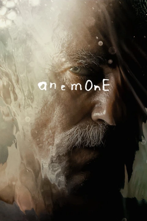 Anemone 2025