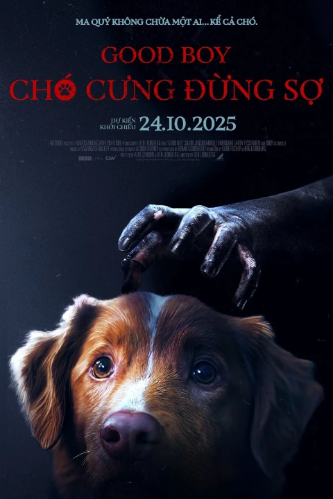 Chó Cưng Đừng Sợ 2025