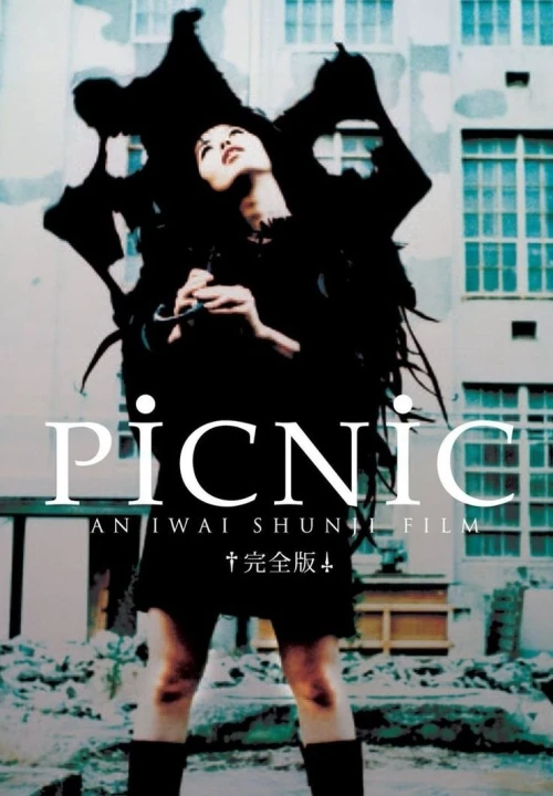 PiCNiC 1996